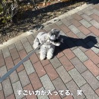全力で拒否