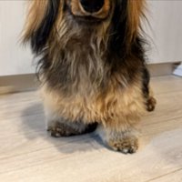 成長