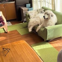 「♪お散歩だ～」と歌いながら足踏み