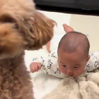 ラテちゃんと赤ちゃん