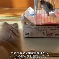 お友達になれるかな？