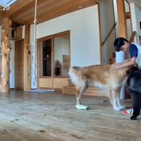 本当の兄弟みたい