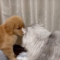 厳しい指導にも負けない…！！