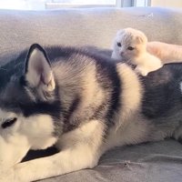 はっちゃんとじゅんちゃん