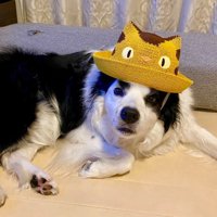 帽子を被るマロくん