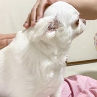 ナデナデ♡