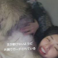 投稿主さんへの愛が止まらない