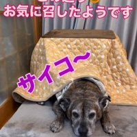 日本の幸せを覚えた！