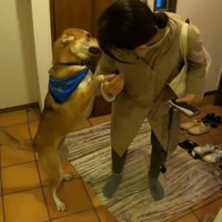 家族が出かける日のワンジローくん9