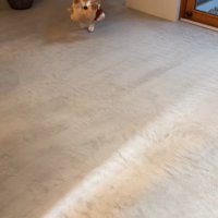 おもちゃをくわえて登場♪