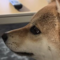 『アー』って言ってみて