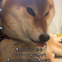 イタズラ中のぬん君3