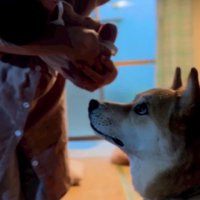 「これからよろしくね」