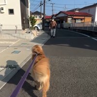 おじいちゃんを発見したりく君