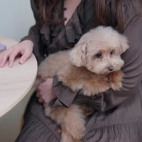 大満足のぽんずちゃんでした