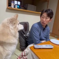 ポジションを整えて再挑戦