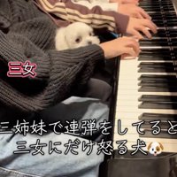 膝の上のころんちゃん