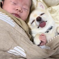 あまりにも尊い光景