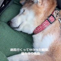 この日も絶望モードに…