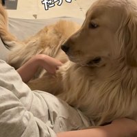自分の体重を分かってない！？