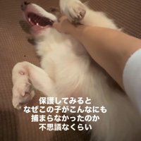 とても甘えん坊だった