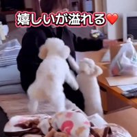 嬉しい2匹