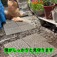水やりを見守っていたかと思うと…