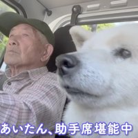 空気感そっくりな2人