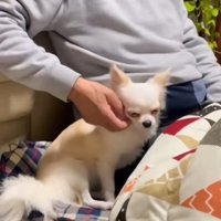 ナデナデしてもらうと…