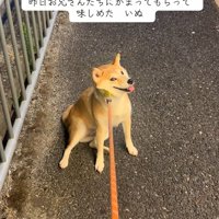 絶対動かないもっぴちゃん