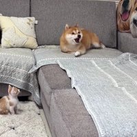 なんとか腰を下ろした…
