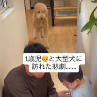 心配そうなわたげちゃん