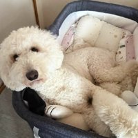 満足そうな表情にキュン