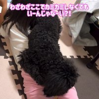 固い絆で結ばれています