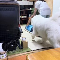 おばあちゃんが手助けすると…