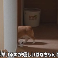 今度は部屋の中へ