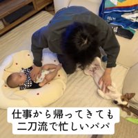 両手でナデナデ