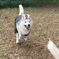 怖すぎる表情に！！