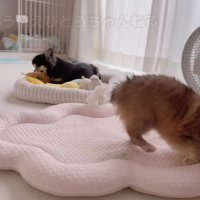 遊んでみたものの…