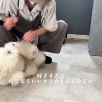 ドタバタと大暴れ！