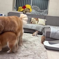 全身でうにくんを制止！！
