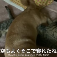 寝るときも一緒…♡