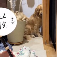 外れた音に反応するならちゃん