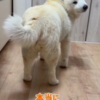 何度も無事を確認