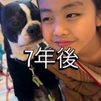 女の子の顔に自分の顔を寄せる犬