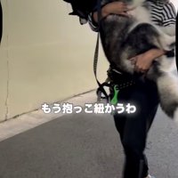 犬を抱っこして歩く人