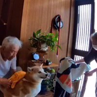 男性を振りほどこうと動き回る犬