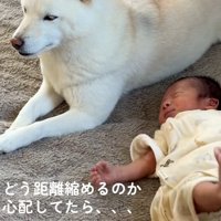 心配する投稿者さん