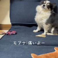文句が止まりません！
