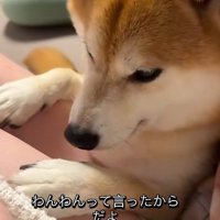 ママに甘えて…